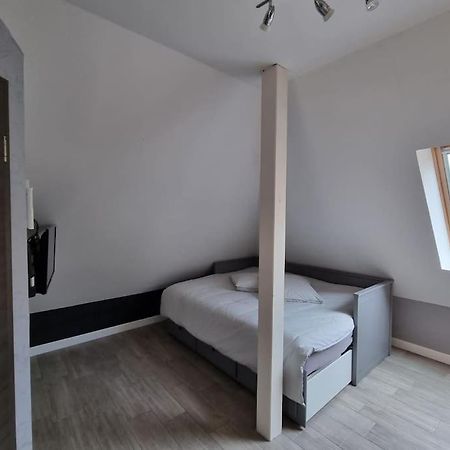 Studio De La Demi Lune Plobsheim Buitenkant foto